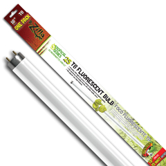 TROPICAL SERIES T8 BULB