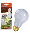 DAY WHITE LIGHT INCANDESCENT BULB