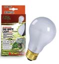 DAY WHITE LIGHT INCANDESCENT BULB