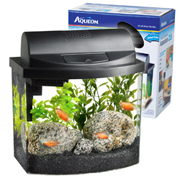 MINI BOW DESKTOP AQUARIUM KIT