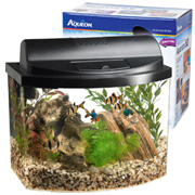 MINI BOW DESKTOP AQUARIUM KIT