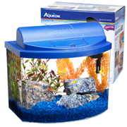 MINI BOW DESKTOP AQUARIUM KIT