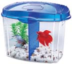 BETTA BOWL KIT