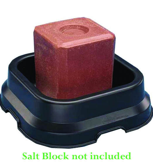 Salt Block Pan