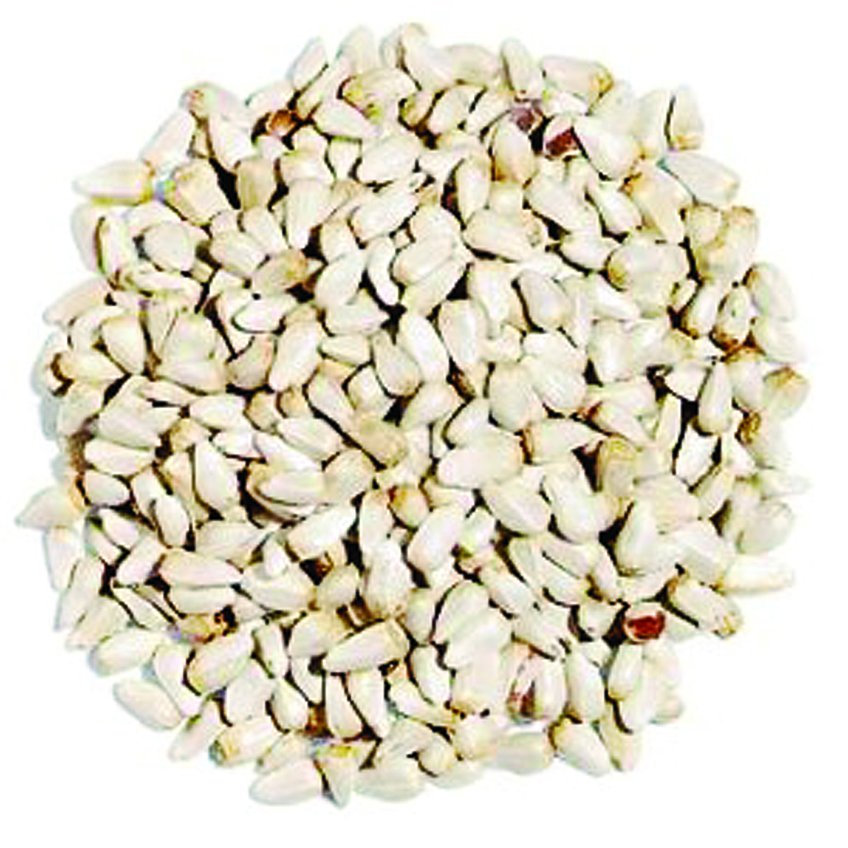 Safflower Seed - 50 lbs.