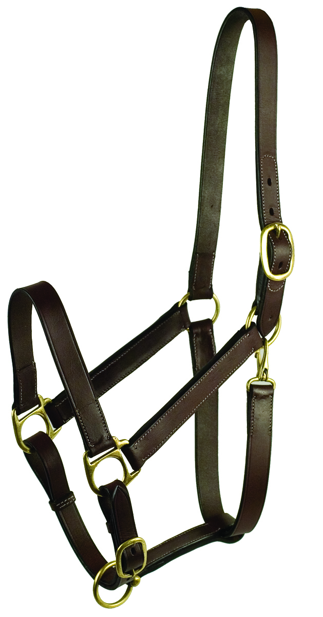 STABLE HALTER WITH SNAP