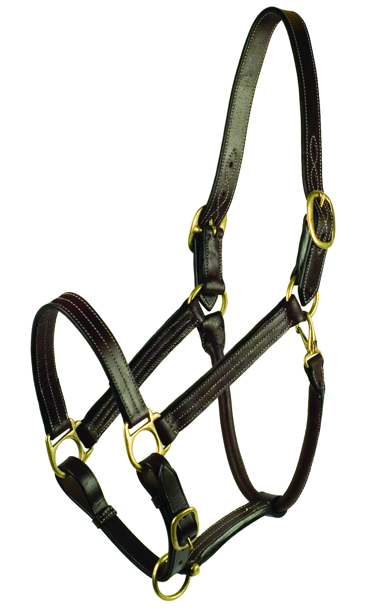 HALTER CLASSIC HORSE