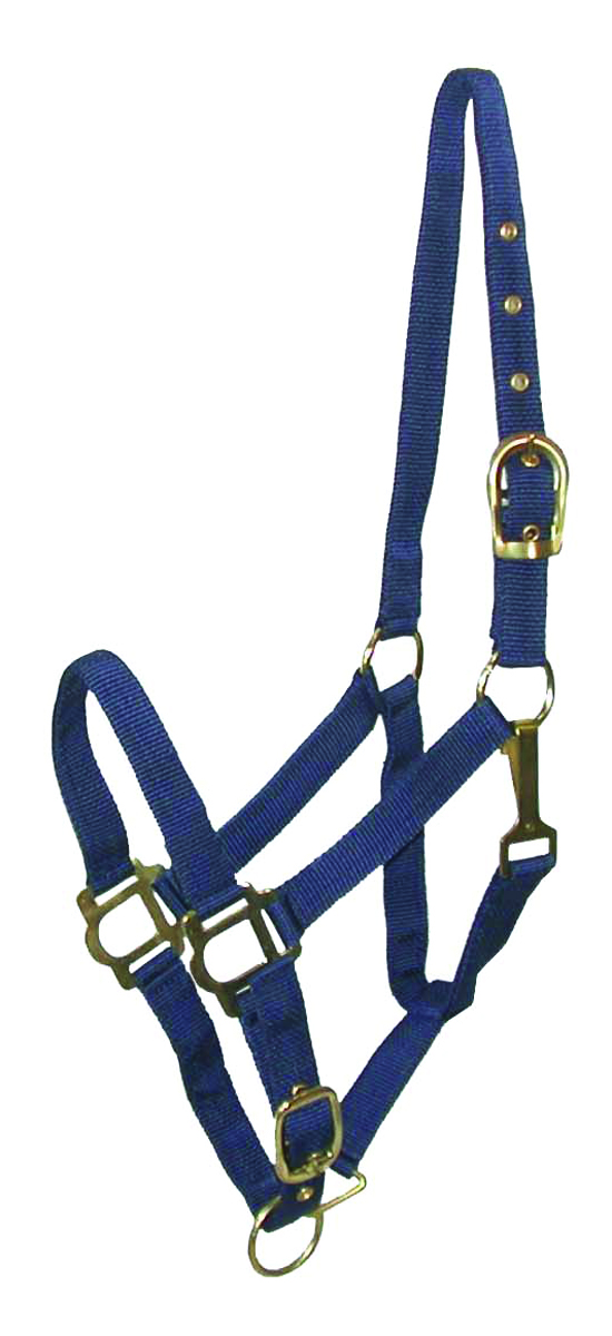 NYLON HALTER