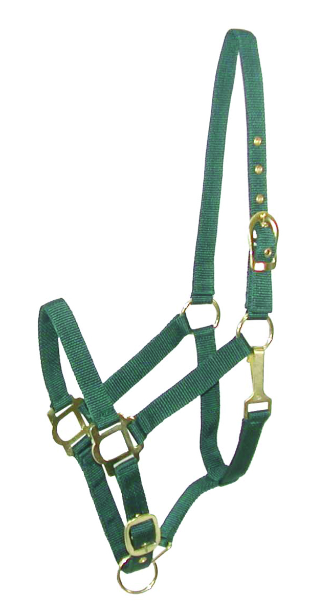 NYLON HALTER