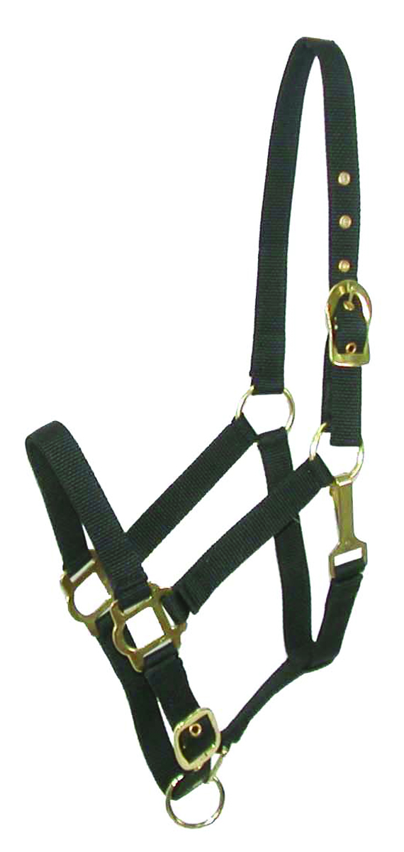 NYLON HALTER