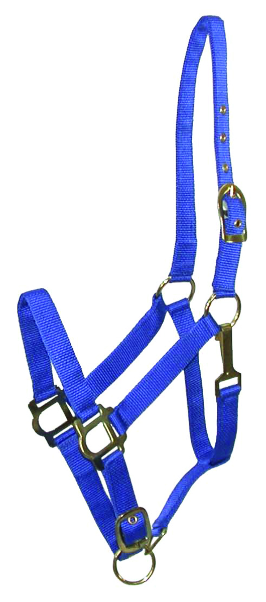 NYLON HALTER