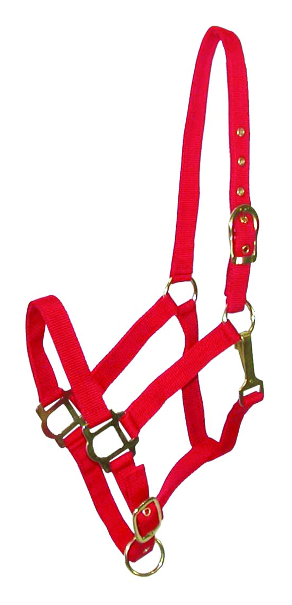 NYLON HALTER