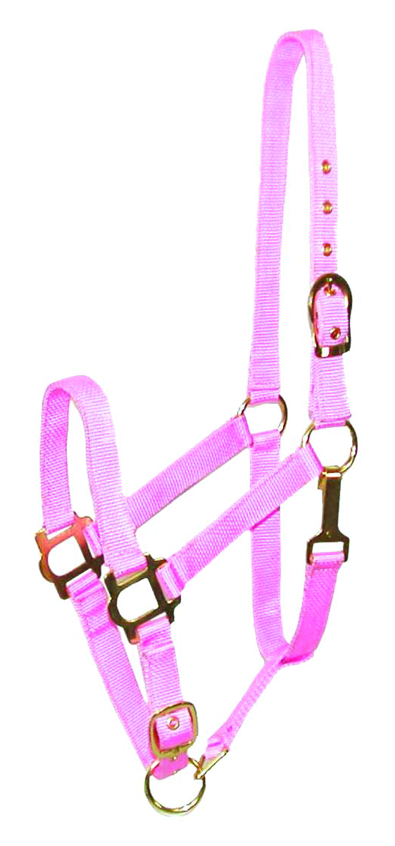 NYLON HALTER