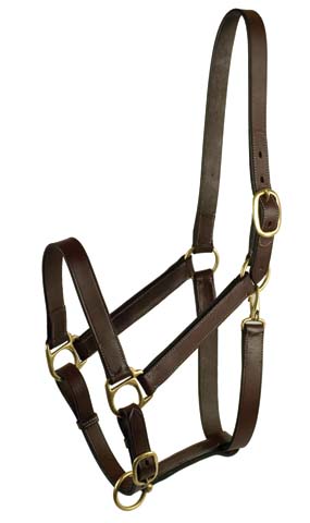 STABLE HALTER WITH SNAP