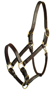 HALTER CLASSIC HORSE