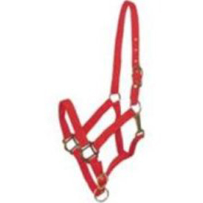 GATSBY BREAKAWAY NYLON HALTER