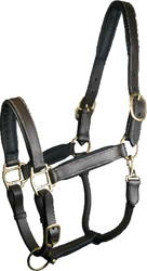 ADJUSTABLE PADDED LEATHER HALTER