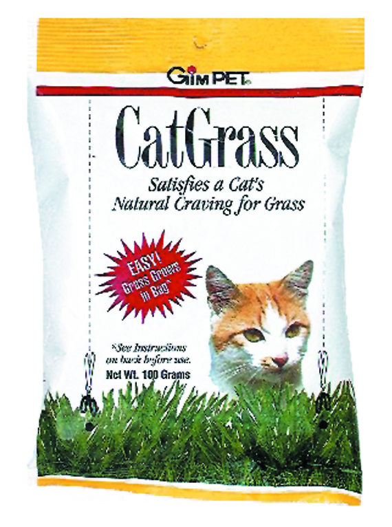 CAT GRASS