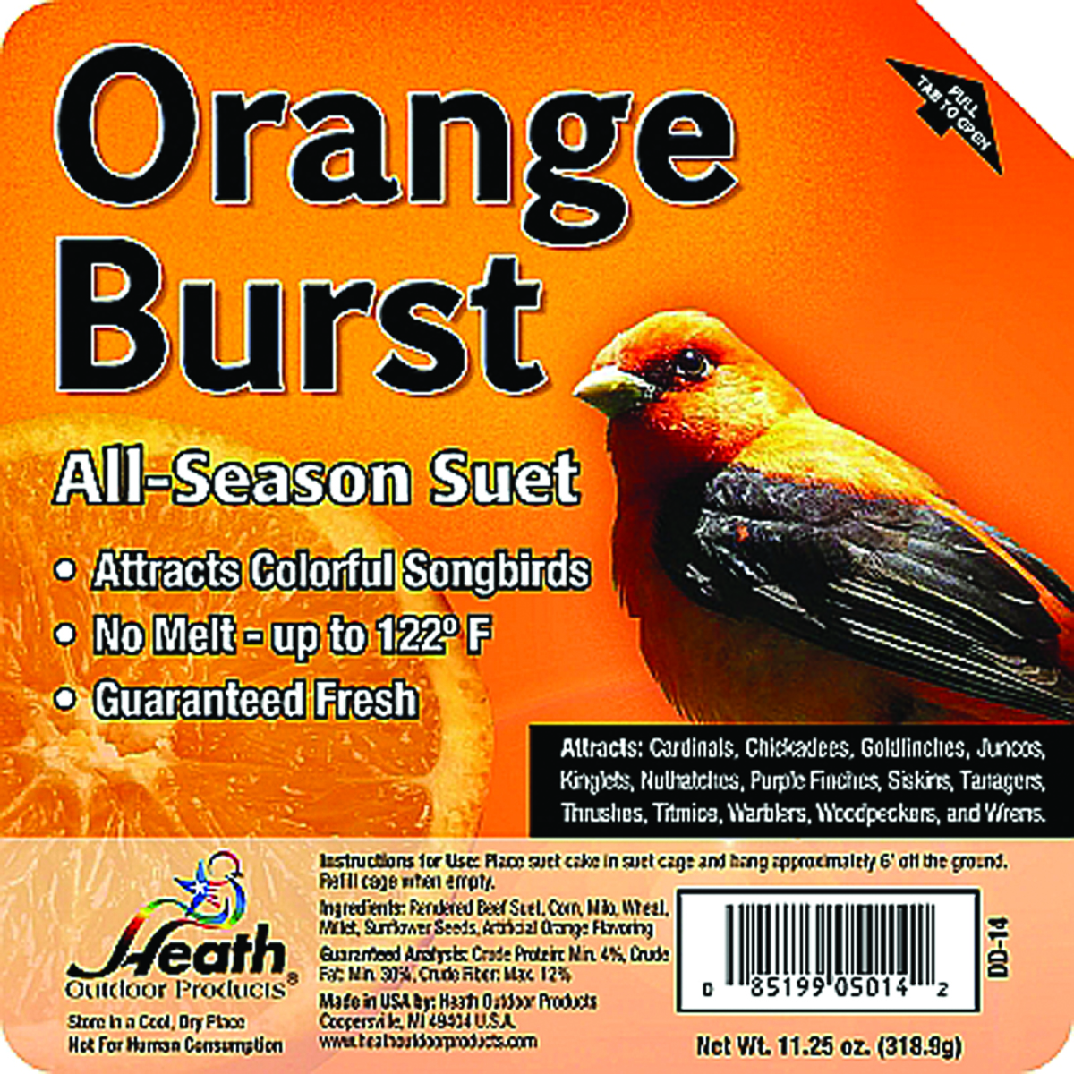 Suet Orange Burst Cake