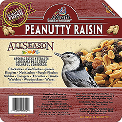 Peanut Raisin Suet Cake