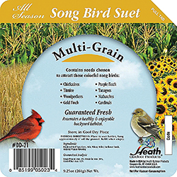 Suet Songbird Multigrain Cake