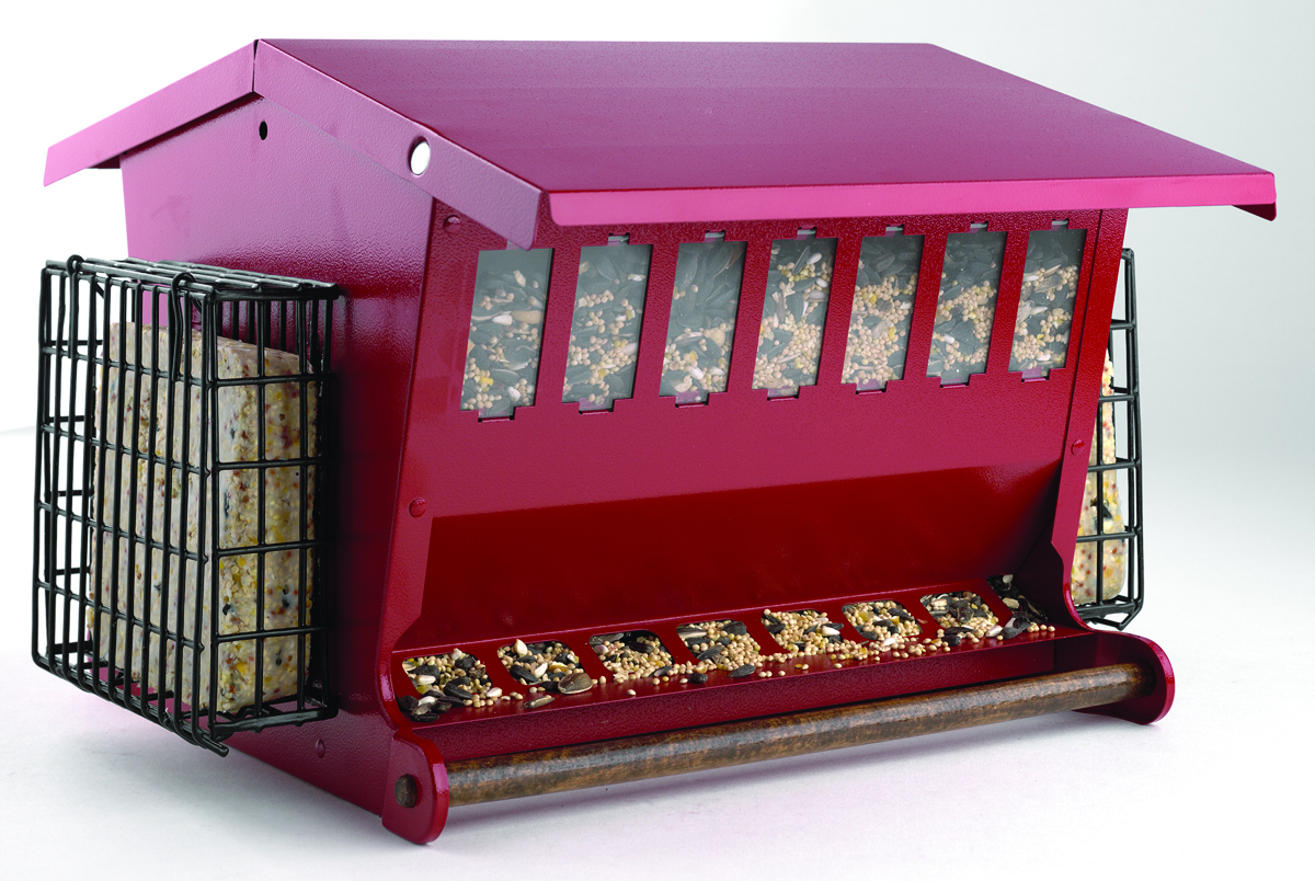 SEEDS  N MORE BIRD FEEDER