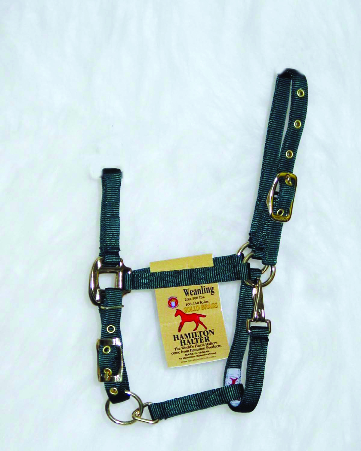 Weanling Adjustable Halter W/snap - Hunter Green