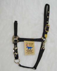 Arabian Halter Average - Black