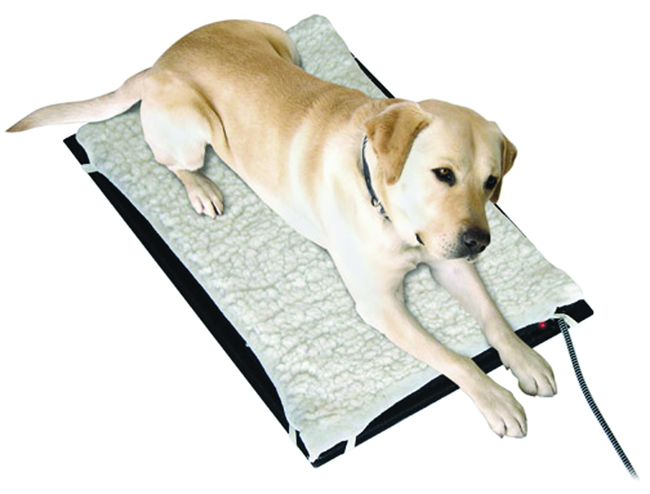 Medium Heated Pet Mat for Dogs 17" x 24"