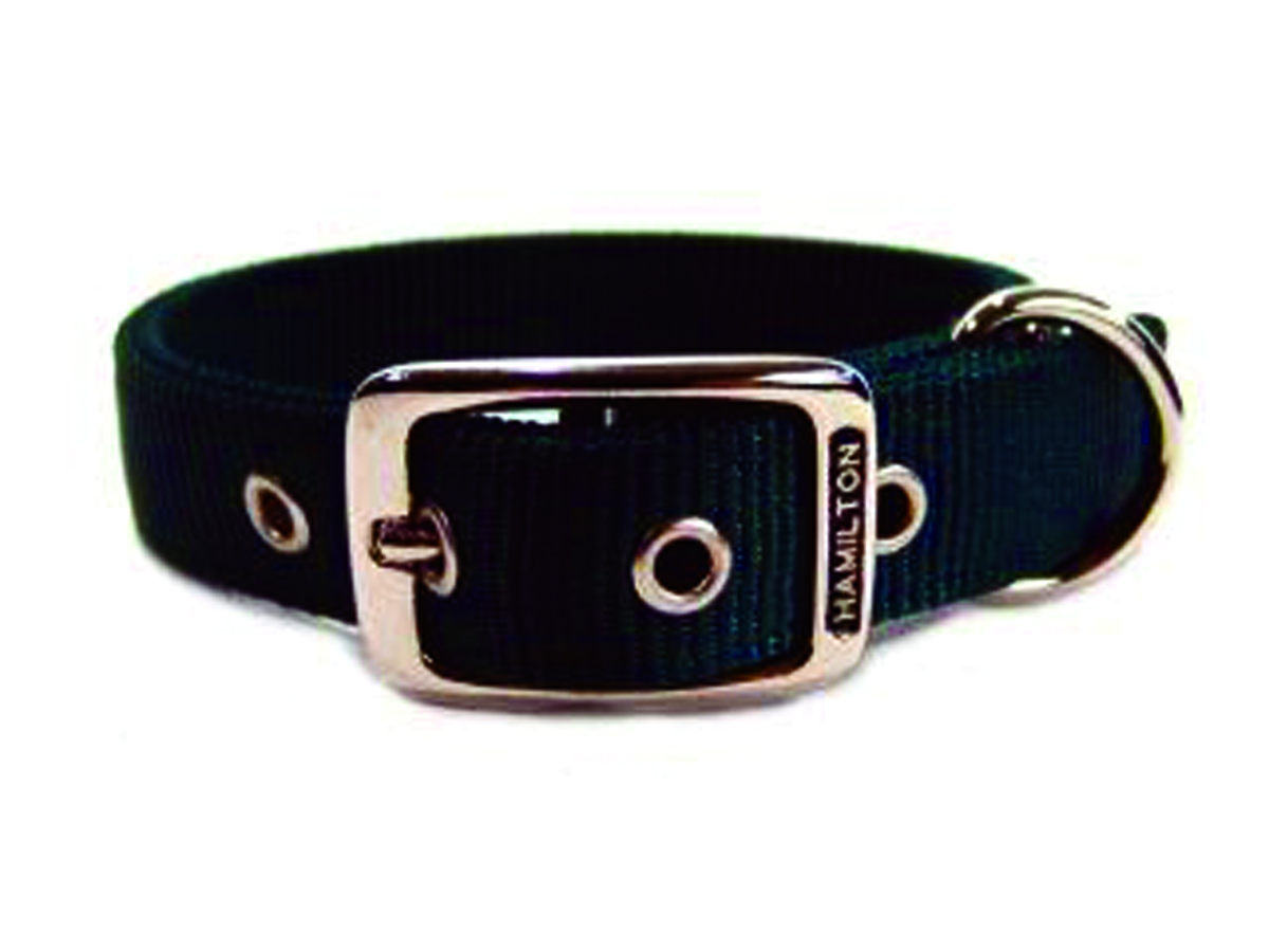 Deluxe Double Thick Nylon Collar - Hunter - 1" X 18"