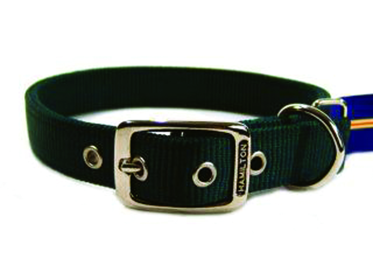 Deluxe Double Thick Nylon Collar - Hunter - 1" X 22"