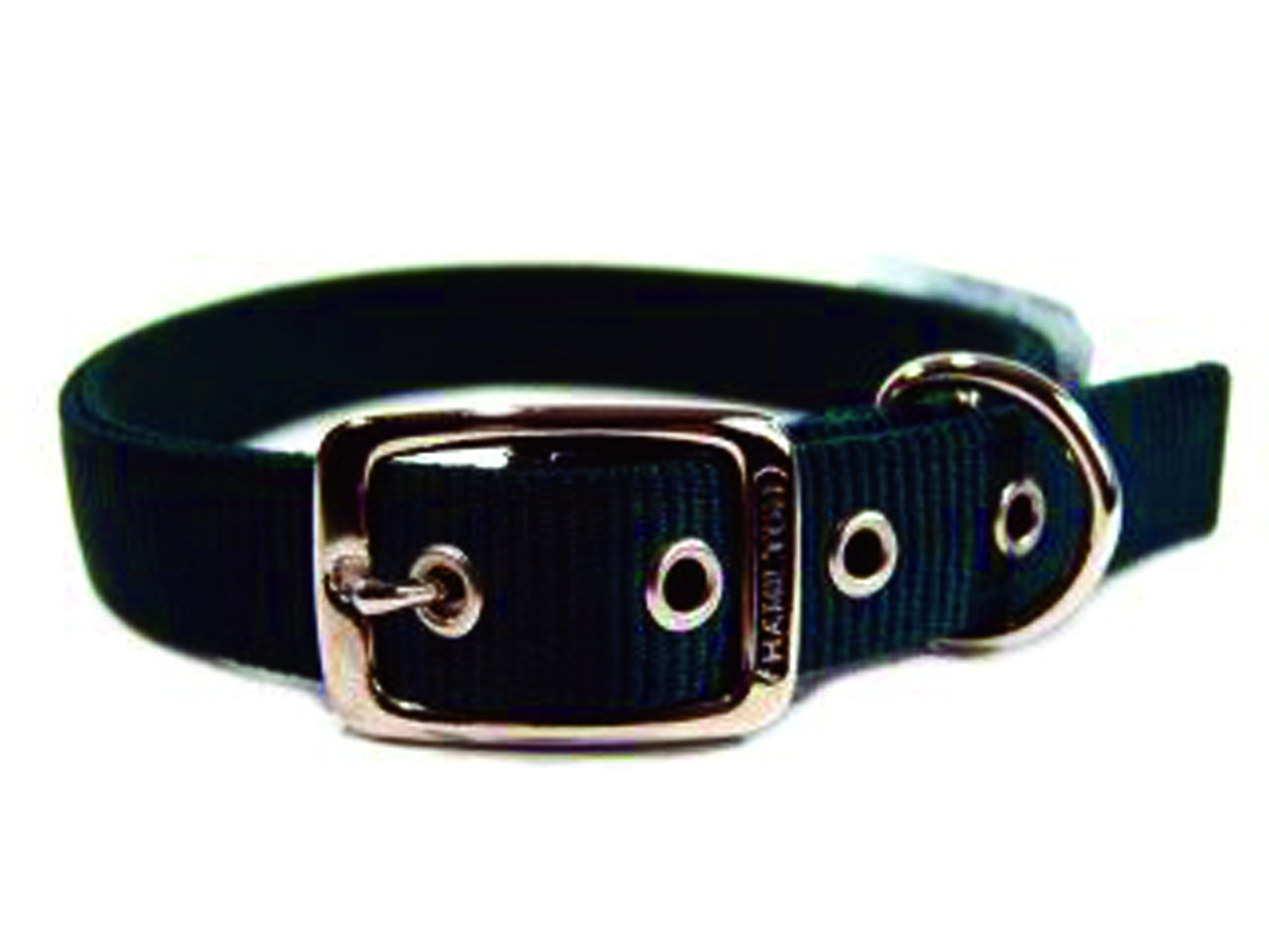 Deluxe Double Thick Nylon Collar - Hunter - 1" X 24"