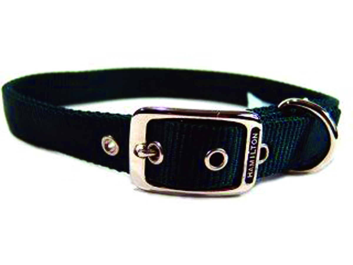 Deluxe Double Thick Nylon Collar - Hunter - 1" X 28"