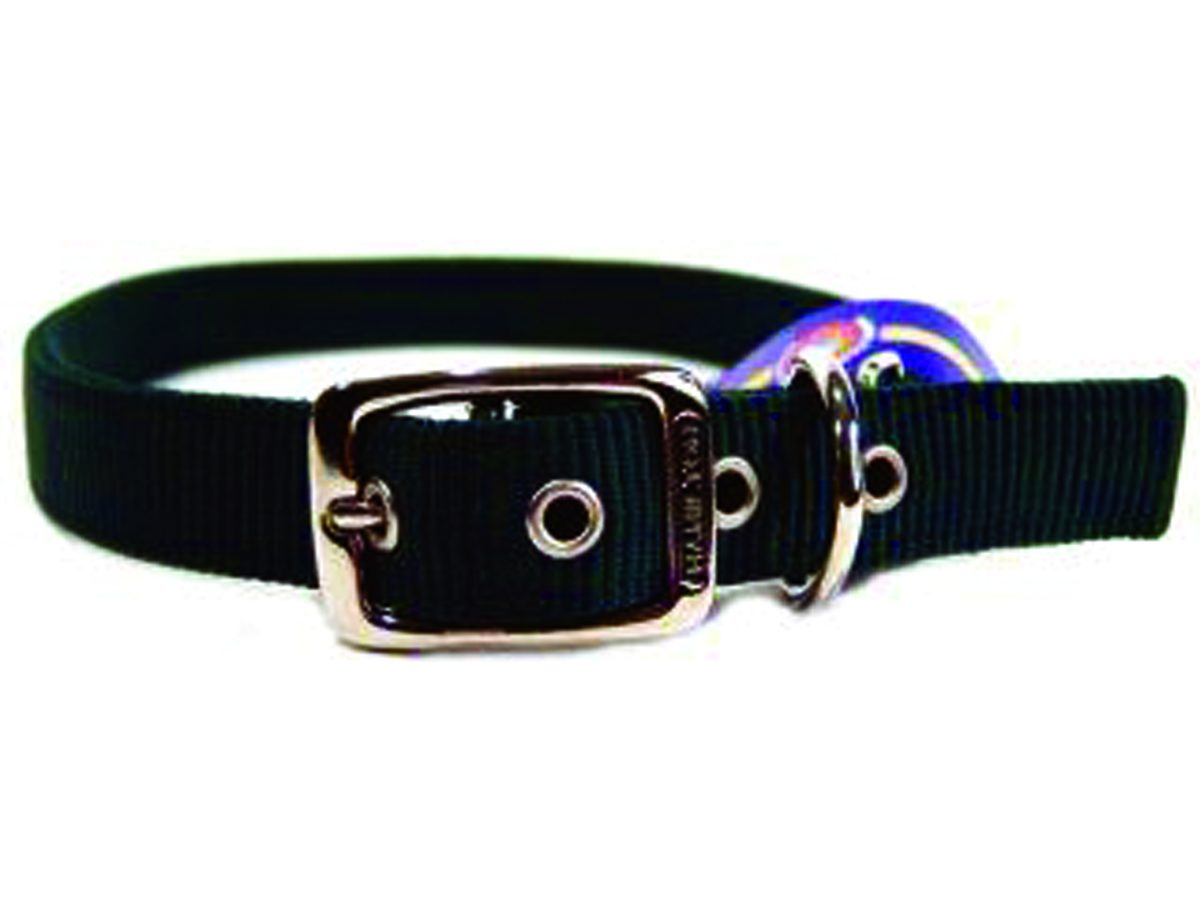 Deluxe Double Thick Nylon Collar - Hunter - 1" X 30"