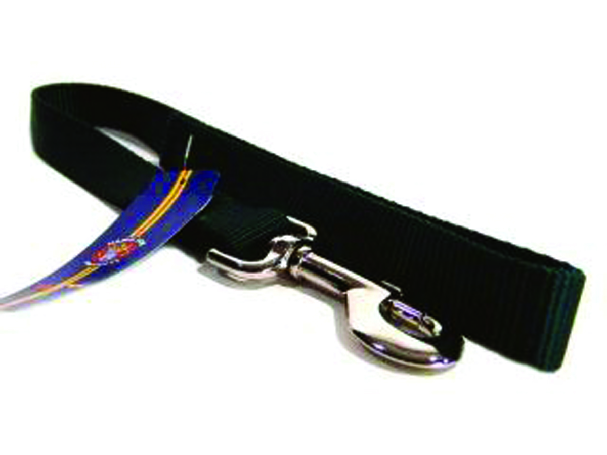 Single Thick Nylon Leash With Snap - Hunter