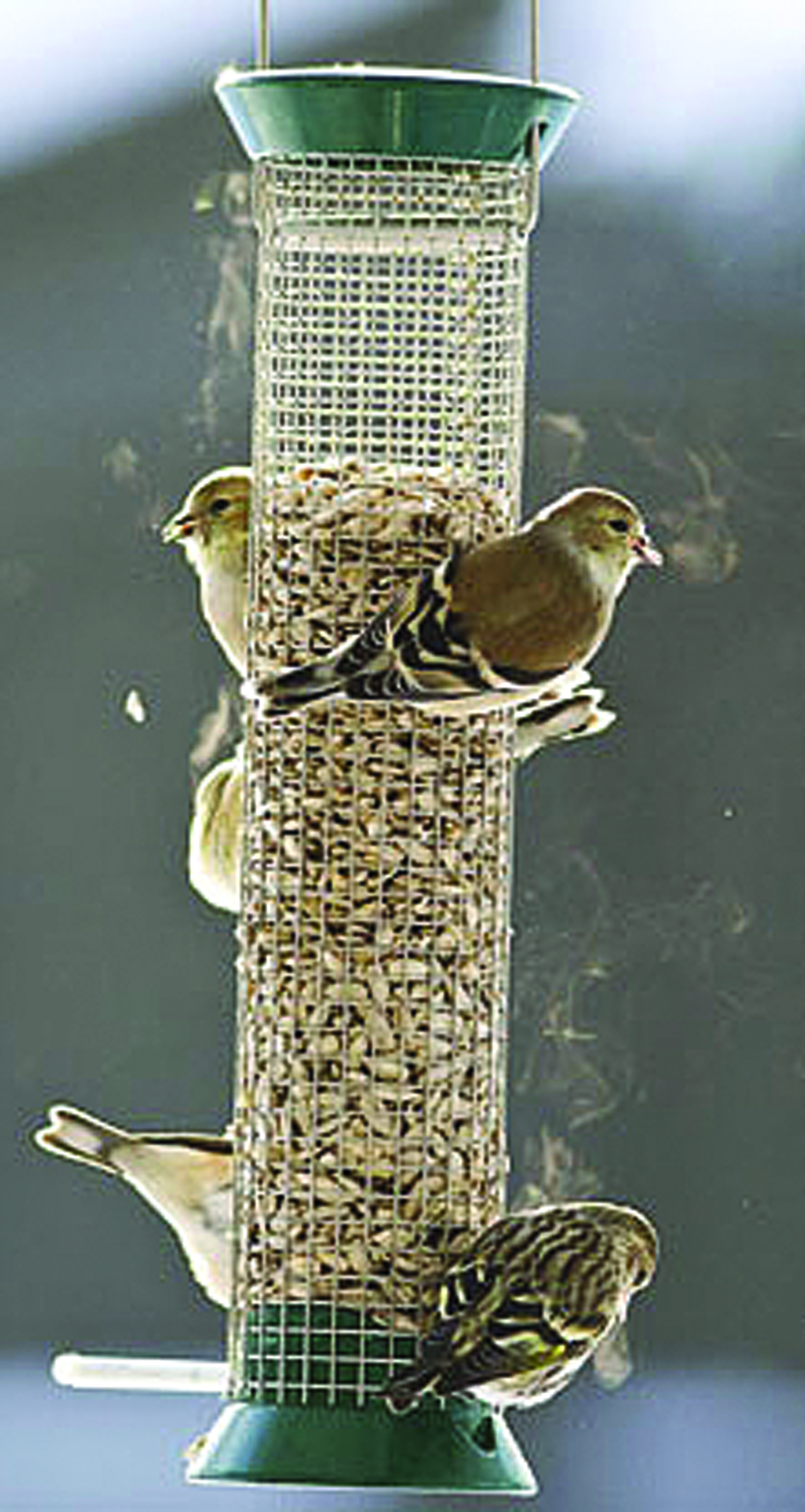 NEW GENERATION PEANUT FEEDER