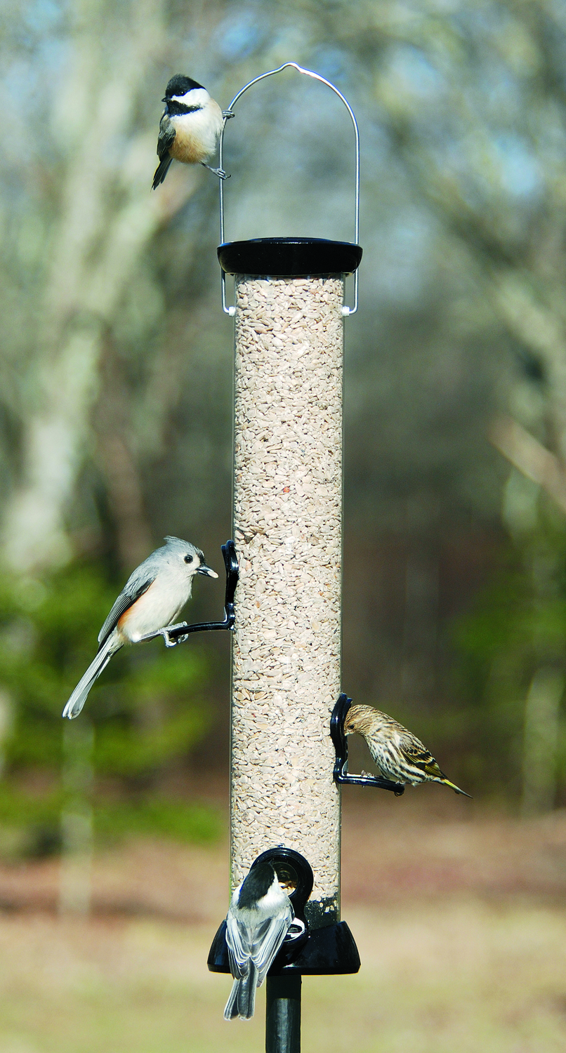 ONYX CLEVER CLEAN SUNFLOWER FEEDER