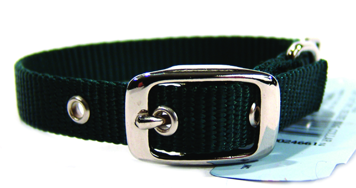 5/8" Nylon Dog Collar - Hunter -14