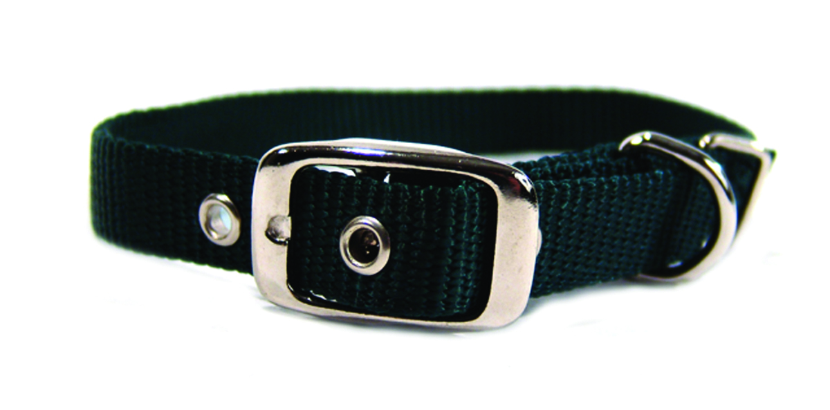 5/8" Nylon Dog Collar - Hunter -18