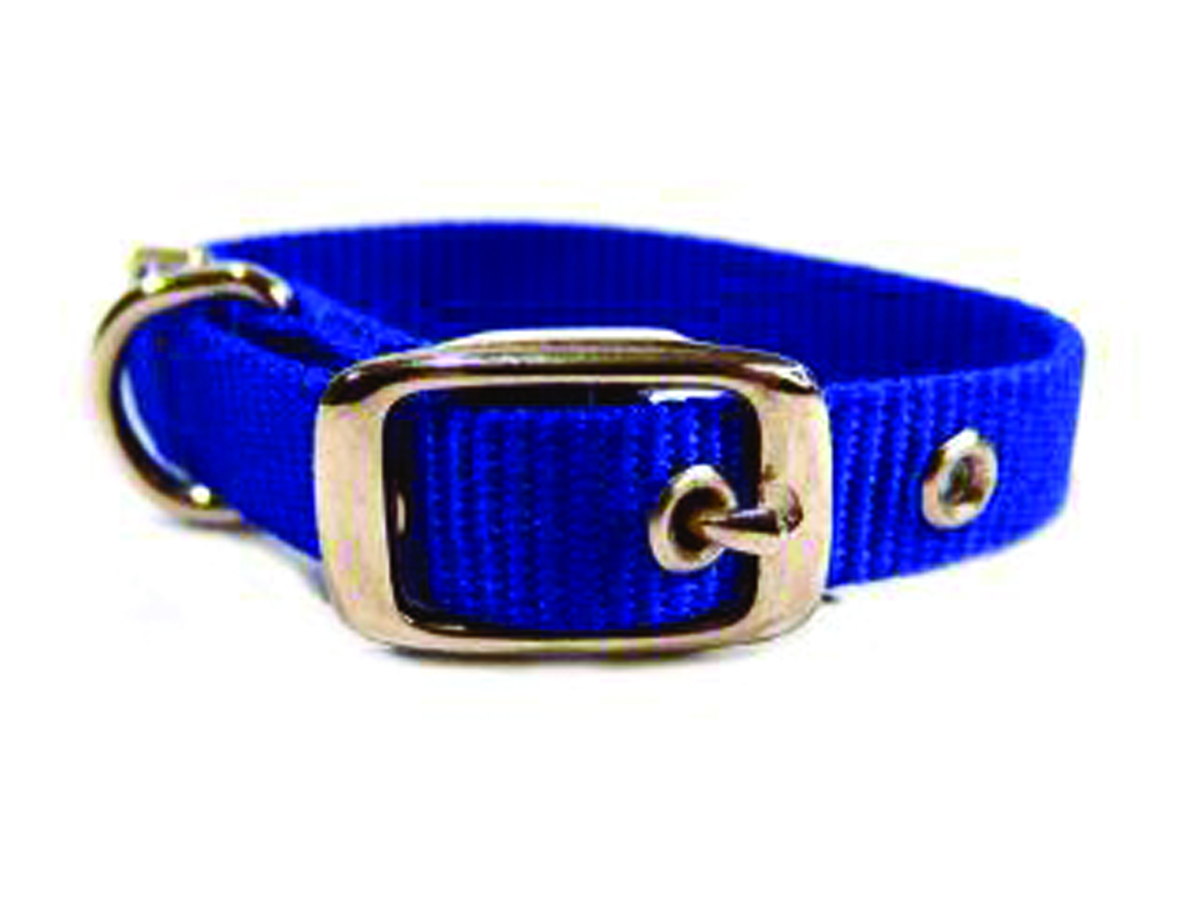 5/8" Nylon Dog Collar - Blue -12