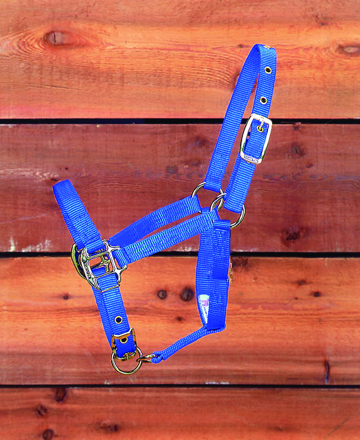 Suckling Halter - Blue