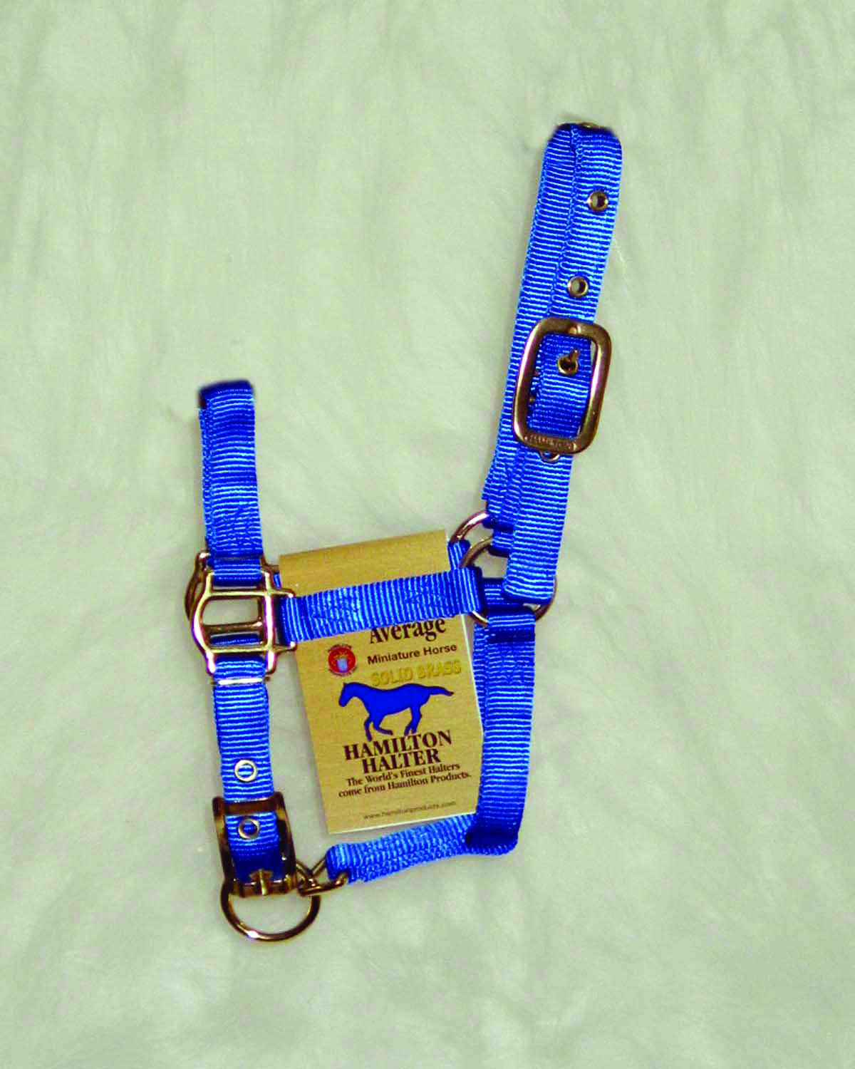 Deluxe Foal Mini Adjustable Halter - Blue