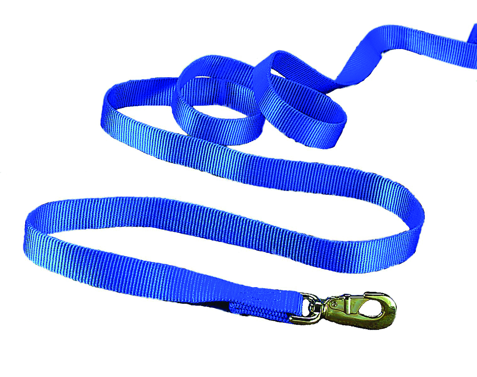 Nylon Lead W/snap 7ft - Blue