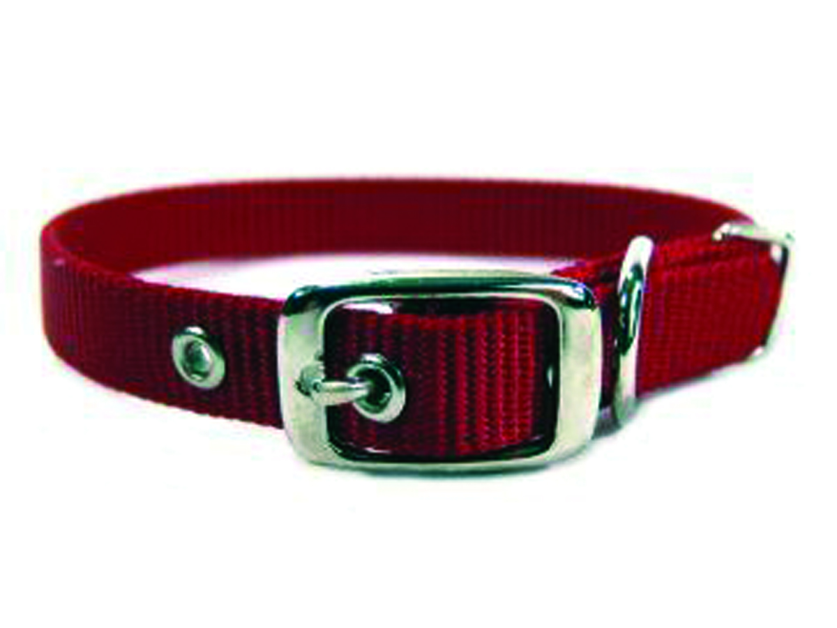 5/8" Nylon Dog Collar - Red -16