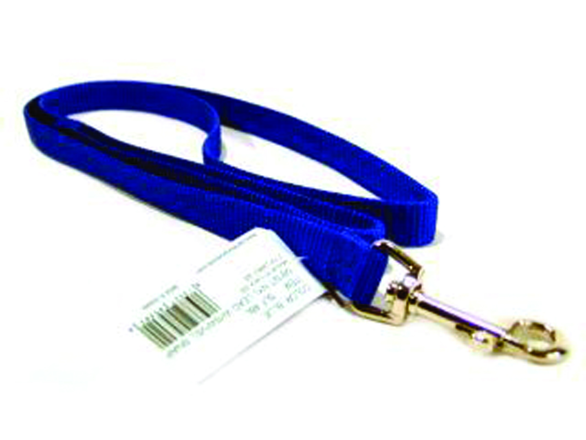 Single Thick Nylon Leash - Blue