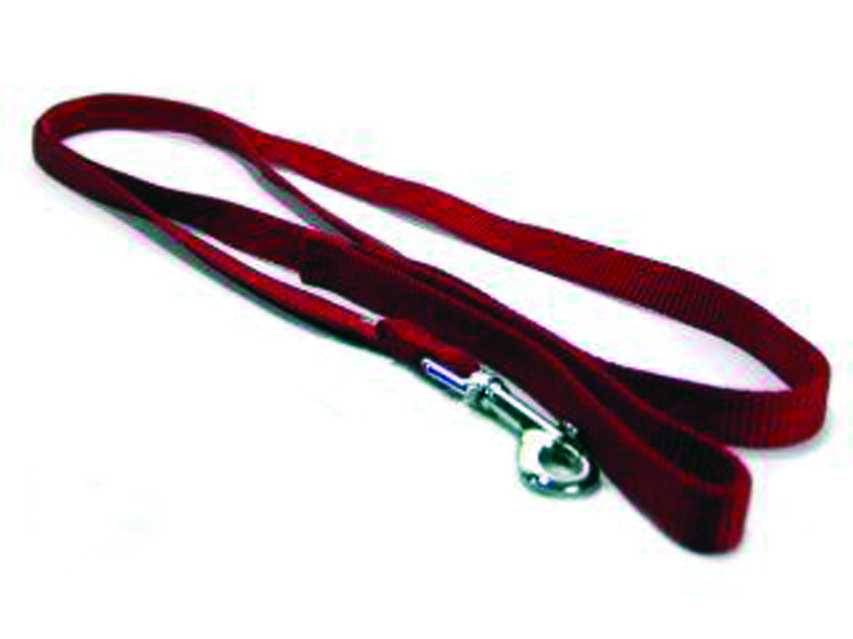 Single Thick Nylon Leash - Red