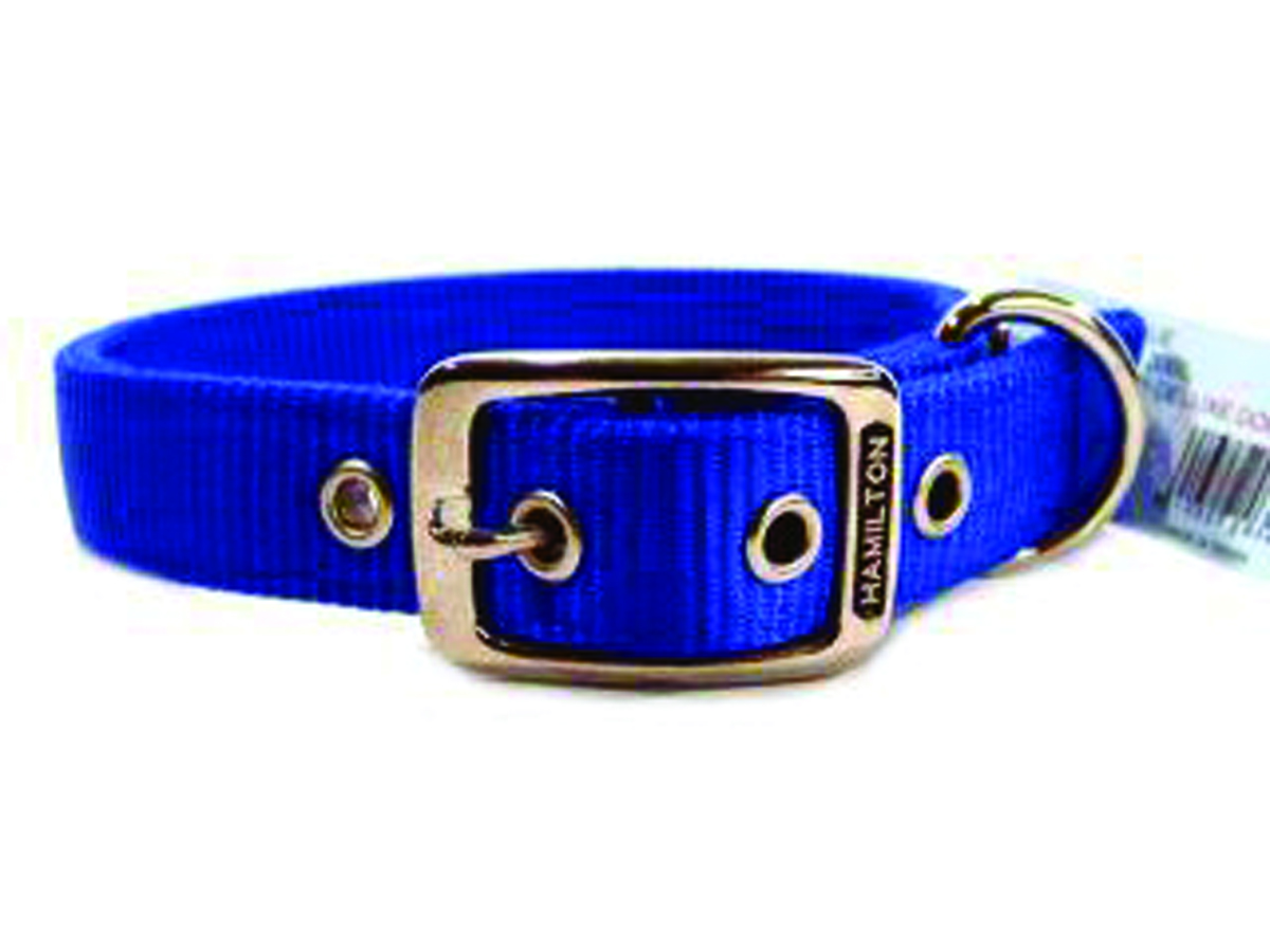 Deluxe Double Thick Nylon Collar - Blue - 1" X 20"
