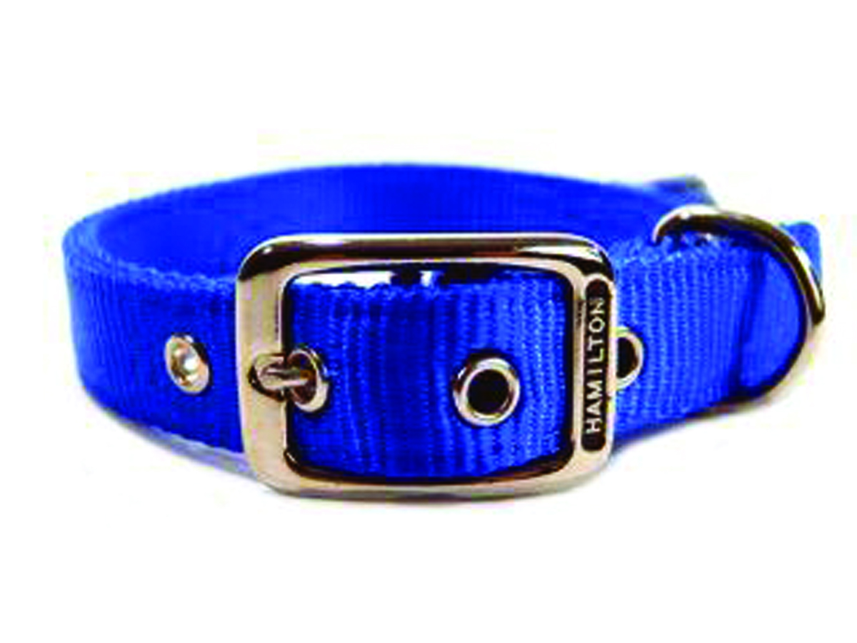 Deluxe Double Thick Nylon Collar - Blue - 1" X 22"