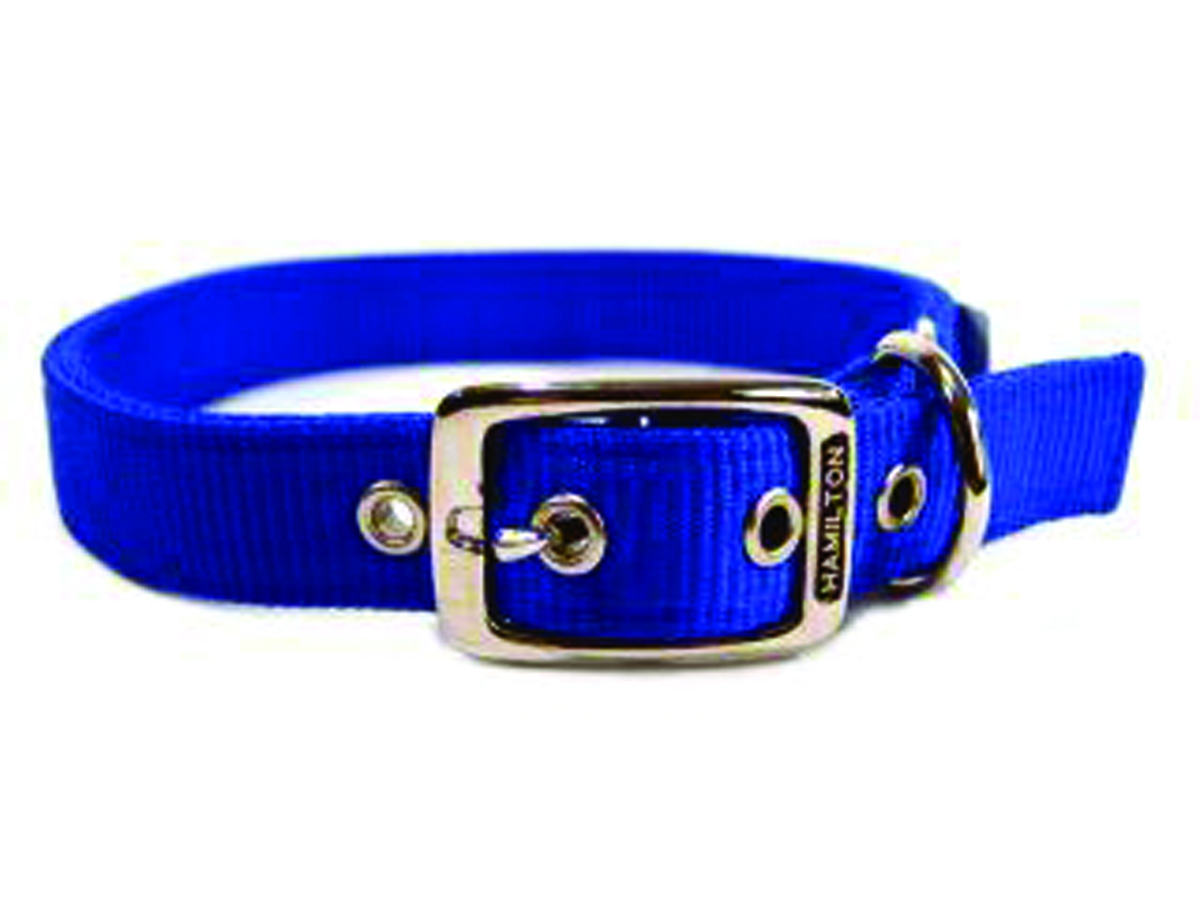 Deluxe Double Thick Nylon Collar - Blue - 1" X 24"