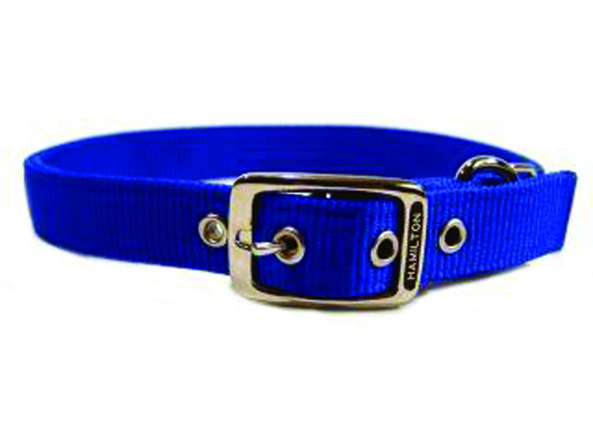 Deluxe Double Thick Nylon Collar - Blue - 1" X 26"